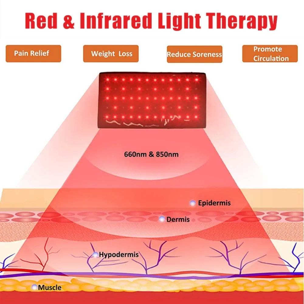 1/2 قطعة الأشعة تحت الحمراء ال - مراجعة Red Light Therapy Belt وسعره
