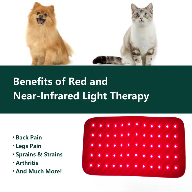 حزام العلاج بالضوء الأحمر للصح - مراجعة Red Light Therapy Belt وسعره