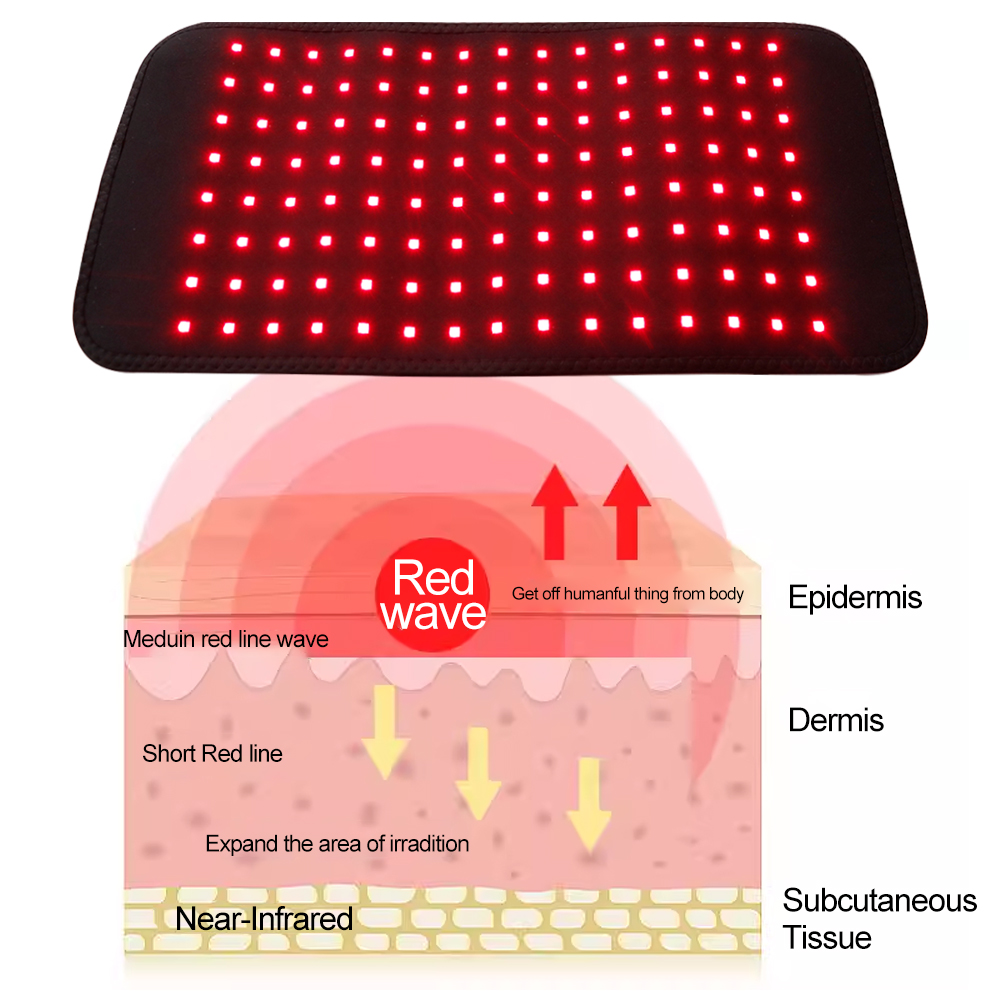 حزام ضوئي أحمر احترافي بـ 120  - مراجعة Red Light Therapy Belt وسعره
